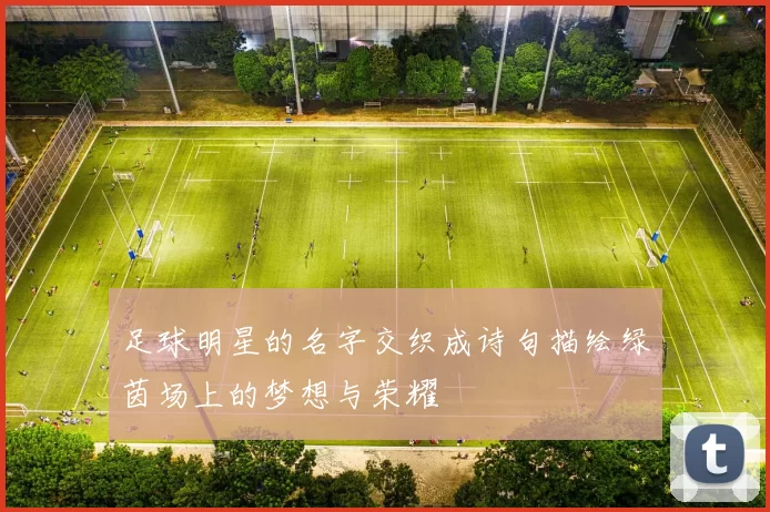 足球明星的名字交织成诗句描绘绿茵场上的梦想与荣耀