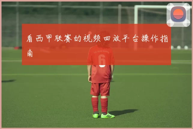 看西甲联赛的视频回放平台操作指南