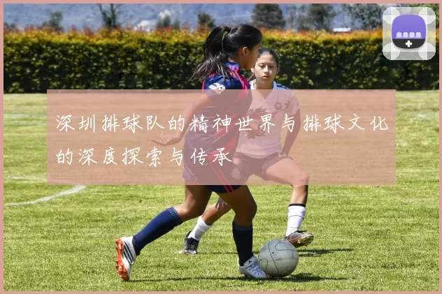 深圳排球队的精神世界与排球文化的深度探索与传承